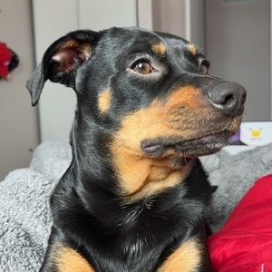 Meet your Posher, Janice